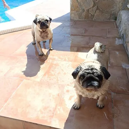 Costa Blanca Apartment